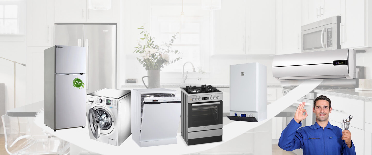Söğütlü Vaillant Servisi